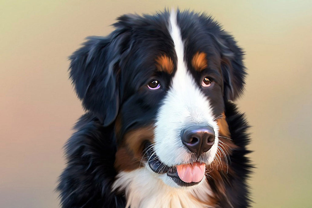 Dog cute face